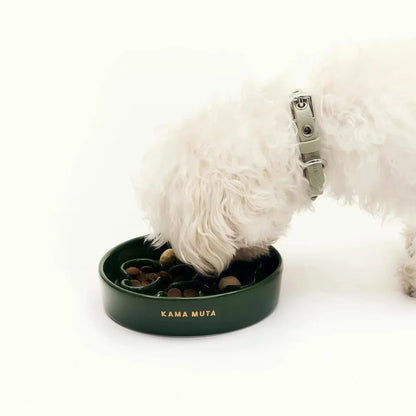 Bone · Slow Feeder Bowl - Medog Green L