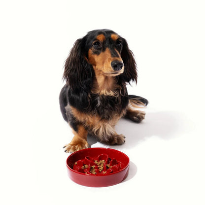 Bone · Slow Feeder Bowl - Medog Green L