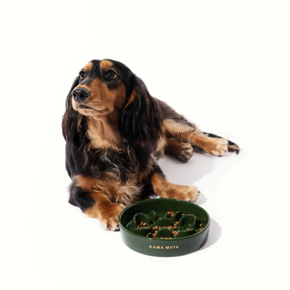 Bone · Slow Feeder Bowl - Medog Green L