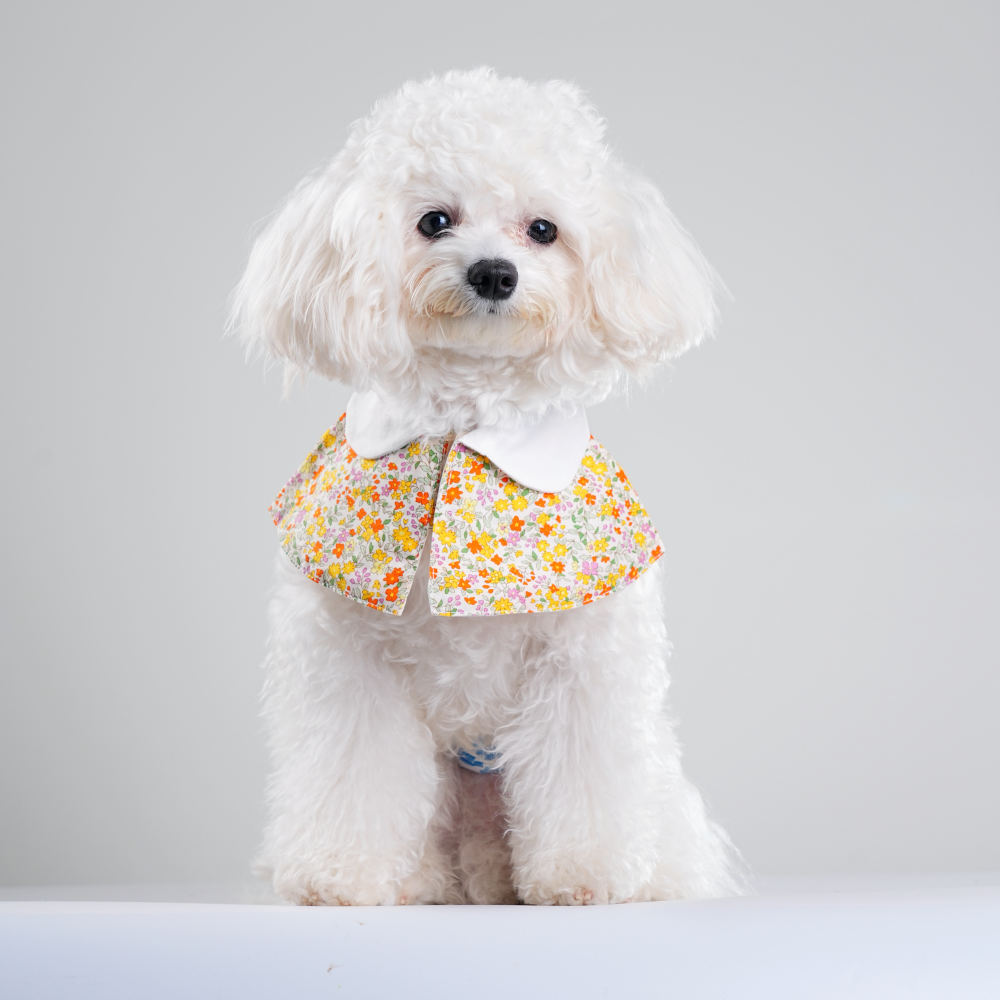 London Garden - Hampstead Bandana