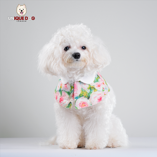 London Garden - Holland Park Bandana