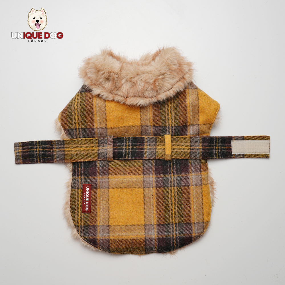 Country House - The Noble Yellow Fur Coat