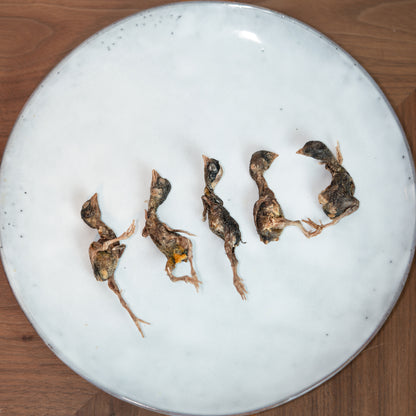 Freeze Dried Quail 30g