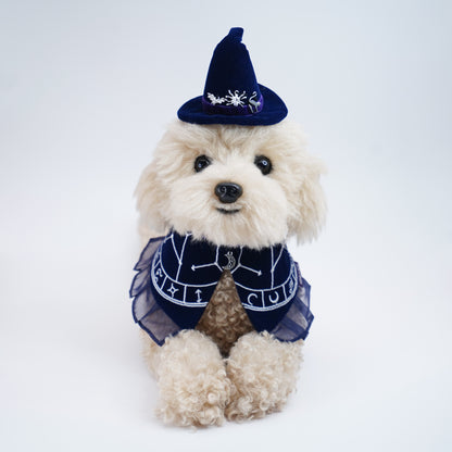 The Oracle's Veil Pet Bib Collar – Outfit for Cats & Dogs